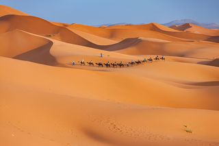 Desert Tours from Fes