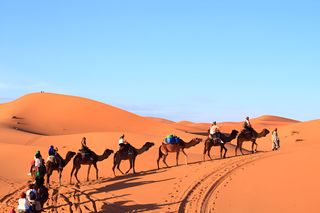 Marrakech Desert Tours