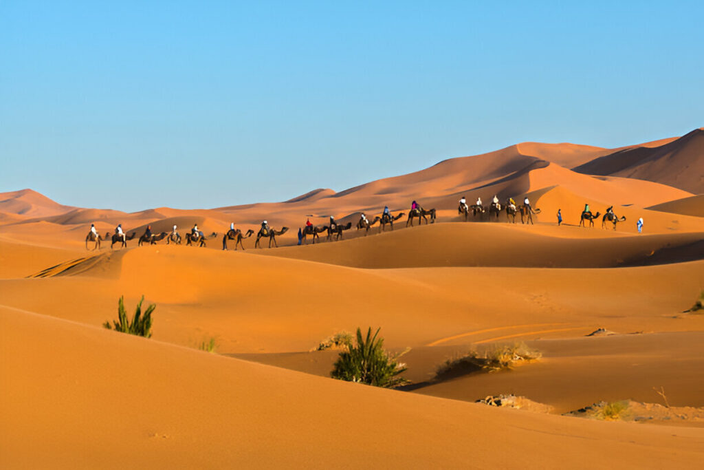 Morocco group tours