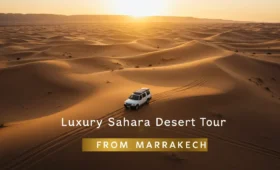 Can you visit the desert from Marrakech?