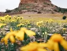 Morocco Desert Tours