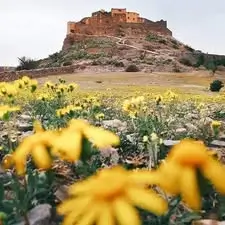What is the Best Desert Tour from
Marrakech?