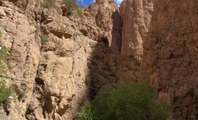 Todra Gorge