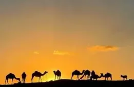 2 days desert tour from Marrakech camel ride sunset Zagora.