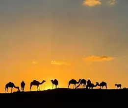 2 days desert tour from Marrakech camel ride sunset Zagora.
