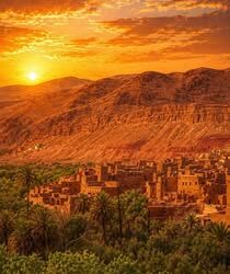Desert Tours from