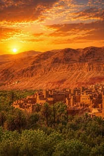 Desert Tours from